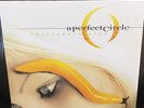 A Perfect Circle THIRTEENTH STEP Gatefold BLACK VINYL RECORD 2 LP