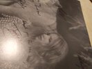 GRAIL SIGNED LANA DEL REY CHEMTRAILS signed by LDR, Zella day, weyes blood, jac