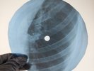 BEATLES A TASTE OF HONEY  X-Ray USSR Record Roentgen Bone Ribs Music Vinyl