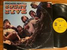 Count Five lp Psychotic Reaction **OG Mono**