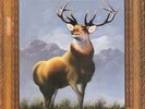 Killdozer - Twelve Point Buck (LP, Album)