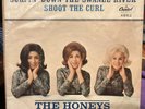 The Honeys Rare Picture Sleeve (Beach Boys Related)