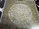 Emarosa Relativity 10th Anniversary