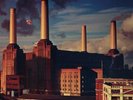 Pink Floyd Animals (Vinyl) 12