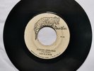 THE SLICKER - JOHNNY TOO BAD / VERSION [ PANTHER ] 7