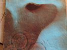 Pink Floyd Meddle Lp