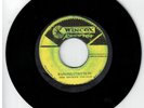 #153 REGGAE SKA VINYL DUBPLATE THE MIGHTY VIKINGS 