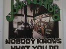 John Hartford Vinyl LP Nobody Knows What You Do 1976 Flying Fish Records Folk