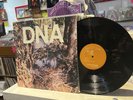 DNA   A Taste Of DNA   EP   1st Press   No Wave   Vinyl   Arto Lindsey