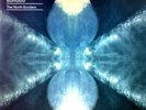 Bonobo - The North Borders 2LP (VG+/VG+) '