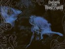 Wolves In The Throne Room Black Cascade RSDBF 2024 VINYL BRAND NEW