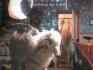 Fall Out Boy - Infinity On High - Double 180g Vinyl LP  MINT