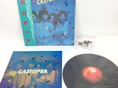 CASIOPEA 