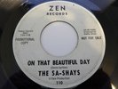 45 The SA-SHAYS ZEN Promo 110 This Is My Story/Beautiful Day DOO WOP VG++