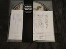 Oasis (What’s The Story) Morning Glory? Vinyl 25th Anniversary 2xLP Picture Disc