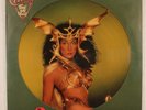 CHER - TAKE ME HOME 1979 US RELEASE VINYL LP PICTURE DISC ALBUM NBPIX71 - EX/VG+