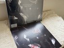 Duran Duran Danse Macabre Galaxy Double Vinyl LP & Signed Print New