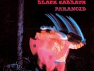 Black Sabbath - Paranoid / 180g Vinyl  Gatefold Cover