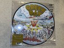 Green Day Vinyl - Dookie (Picture Disc) Brand New & Sealed