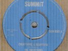 THE ROCKSTONES*EVERYTHING IS BEAUTIFUL*REGGAE*SUMMIT LABEL*LISTEN