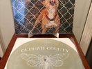 KNOCKED LOOSE - Pop Culture -Silver/Gold/White Galaxy Variant Vinyl Etched Bside