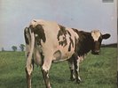 Pink Floyd - Atom Heart Mother VG+/VG+ Quadraphonic