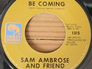SAM AMBROSE -THEY'LL BE COMING - CRAZY HORSE