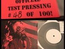 YDI A Place In The Sun 7” Vinyl Howard Saunders Edition #d/100-Black Flag Vile