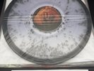 ALICE IN CHAINS Jar Of Flies CLEAR FLY VINYL Exclusive RARE /150
