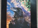 THE STRANGLERS THE RAVEN WITH 3D COVER - 1979 VINYL ALBUM