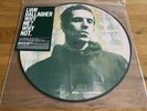 Liam Gallagher Why Me? Why Not LP Vinyl Picture Disc Exclusive Oasis Brand New