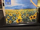 Stone Temple Pilots - Thank You [New Vinyl LP]..