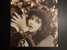 Kate Bush Remastered In Vinyl 1 4x  LP Box Set