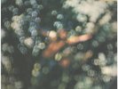 Pink Floyd Obscured By Clouds Harvest Vinyl LP