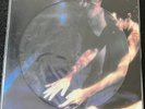 SIOUXSIE & THE BANSHEES The Scream LP Ltd Edition Picture LP VINYL -  NEW