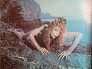 ROXY MUSIC - SIREN Love is The Drug 1st UK Press 1975 LP EX