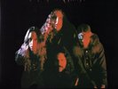 SAINT VITUS Hallow's Victim LP DOOM METAL Heavy Metal REISSUE Black Vinyl SEALED