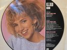 RARE Debbie Gibson Shake Your Love 1987 UK Import 12” Mixes Single Picture Disc