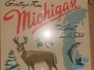 Sufjan Stevens Michigan (University of Michigan/Michigan State, blue and green)