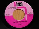 Sunday soul 45 Aint Got No Problems bw Where Did He Come From on Al Teen