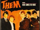 THEM: here comes the night PARROT 12