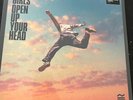 Sea Girls - Open Up Your Head -  COLOURED VINYL LP  NEW SEALED