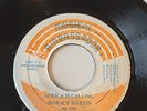 KILLER ROOTS REGGAE - Horace Martin - Africa Is Calling - EX 1981 Jamaica