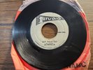 Alton Ellis - Let Them try / A fool 45 Studio One Reggae VG+ mp3
