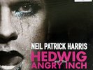 NEW:NEIL PATRICK HARRIS - Hedwig And The Angry Inch Vinyl LP