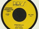 THOMAS, Jimmy/OWEN GREY - Springtime - Vinyl (7