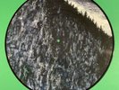 RARE Ulver – The Trilogie ...One PIC LP...BLACK METAL...