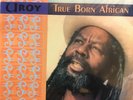 U-Roy - True Born African (LP, Album, RE) (Mint (M)) - 3372999045