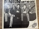 Vinyl Blasters ain’t No Cats