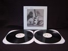 Built To Spill. You In Reverse. 2 x lp.